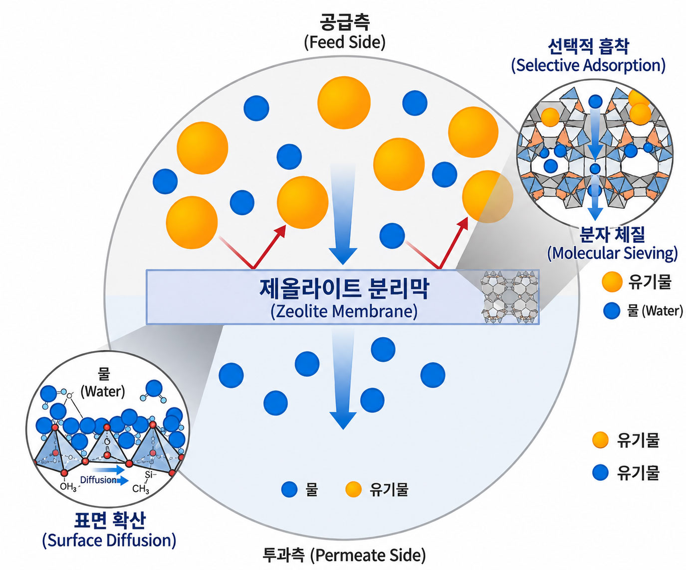 투과증발 분리막